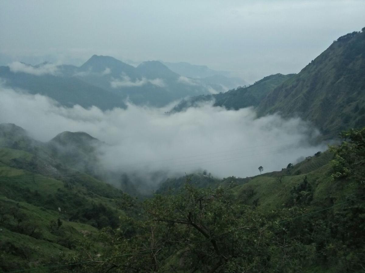 Oyo 11877 Royal Residency 호텔 New Tehri 객실 사진